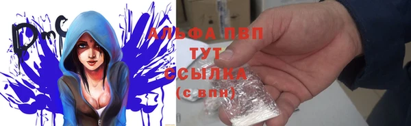 гашик Иннополис