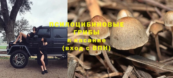 каннабис Алзамай