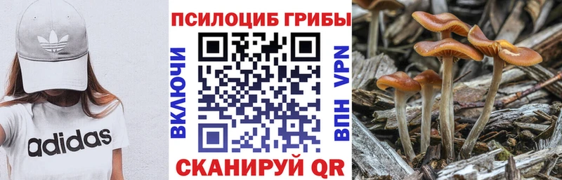 нарко площадка наркотические препараты  Печоры  Псилоцибиновые грибы Psilocybine cubensis 